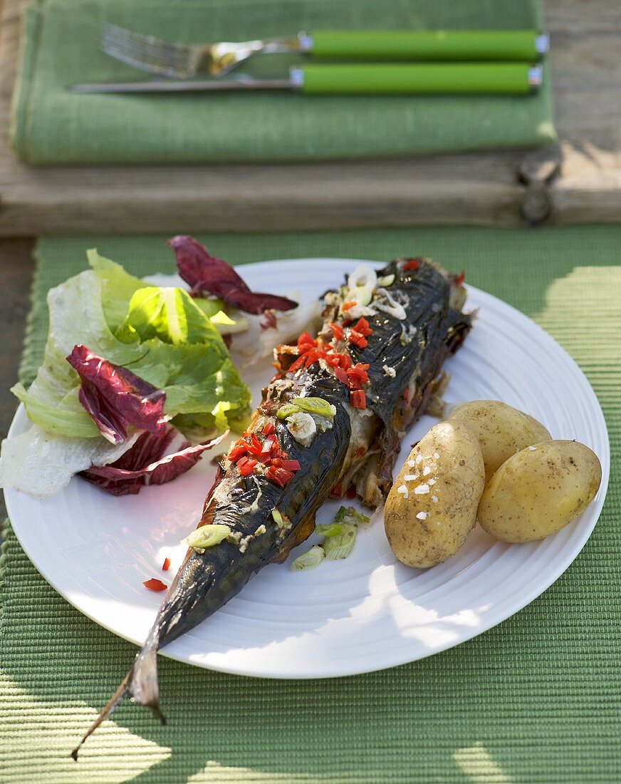 Gegrillte Makrele mit Kartoffeln