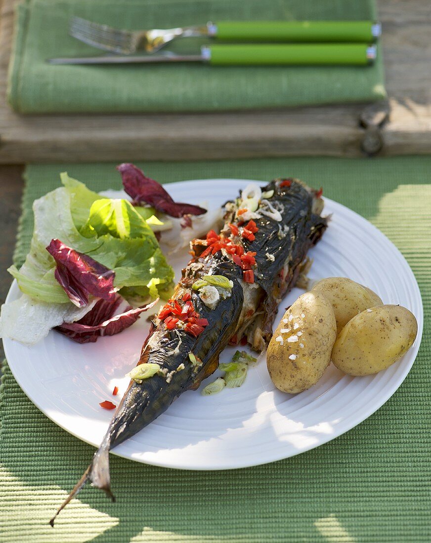 Grilled mackerel with potatoes