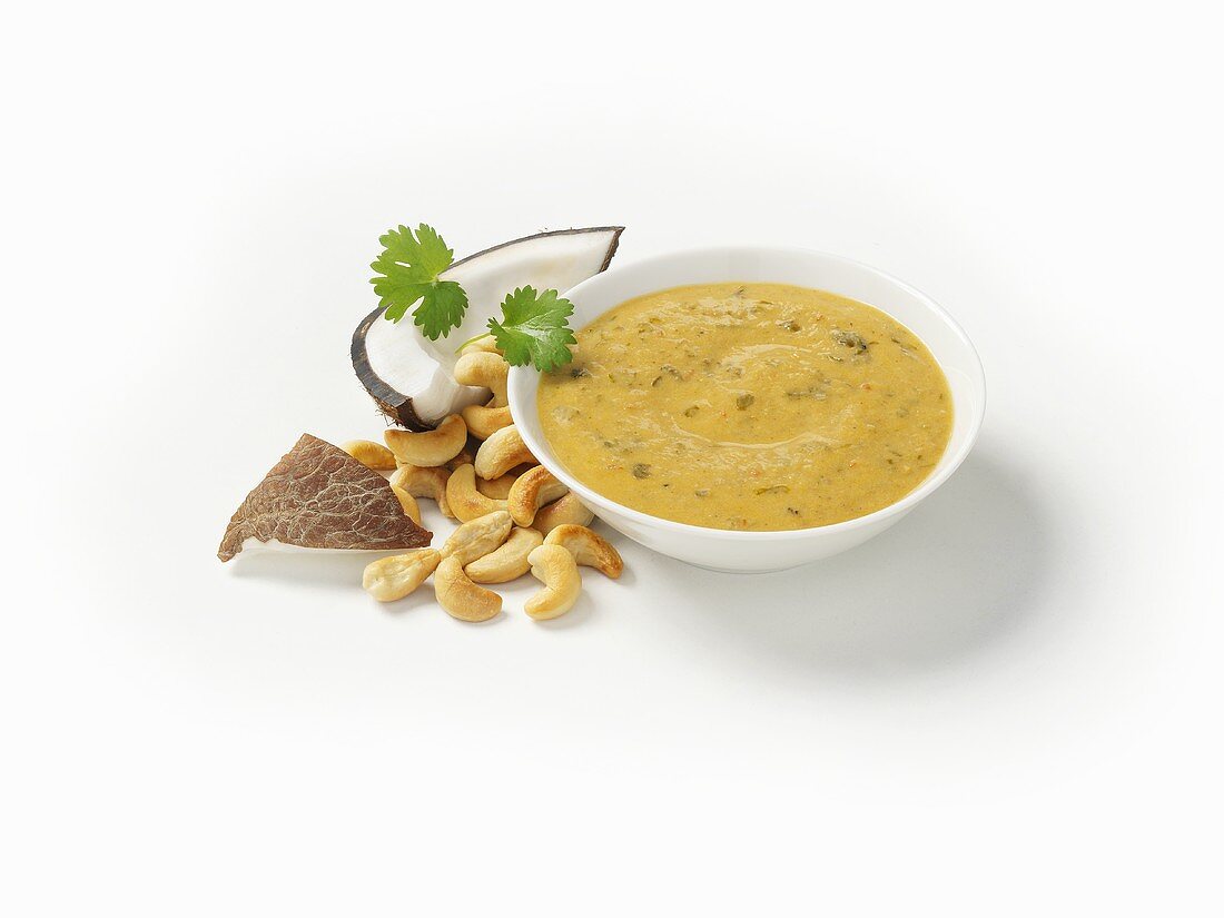 Korma (Spicy nut sauce with yoghurt, India)