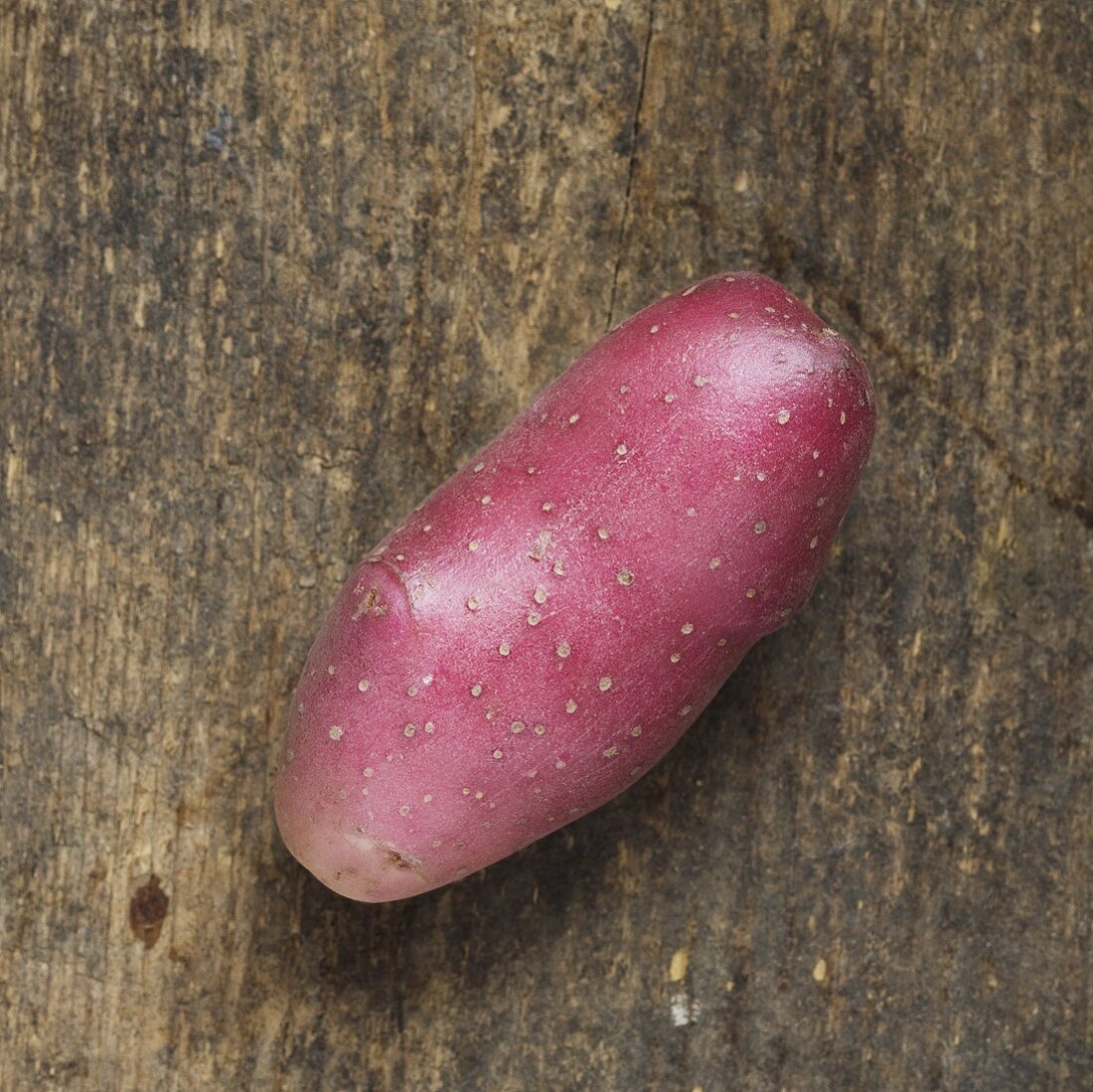 Eine violette Kartoffel auf Holzuntergrund