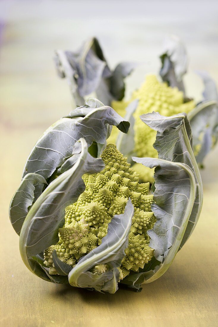 Romanesco