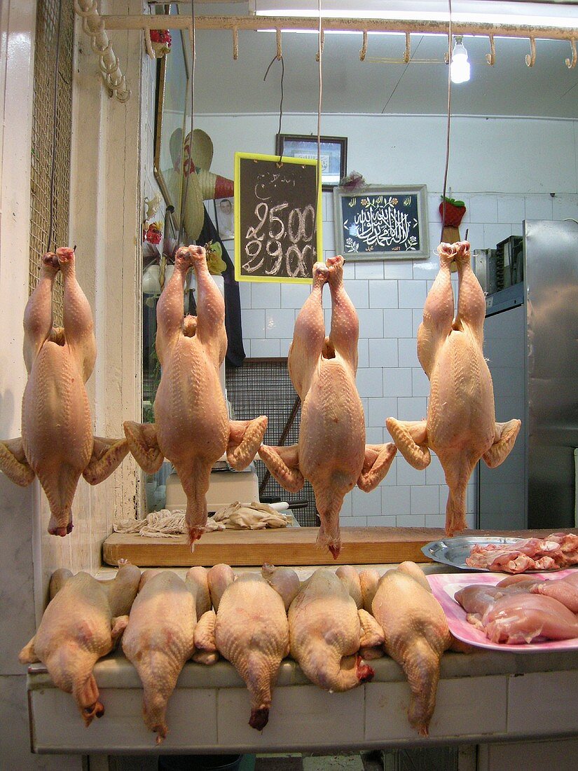 Plucked chickens in a butcher's shop in Morocco