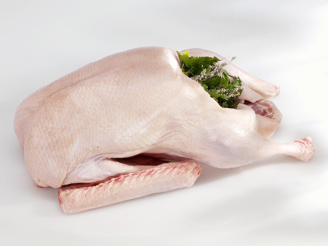 A goose stuffed with herbs