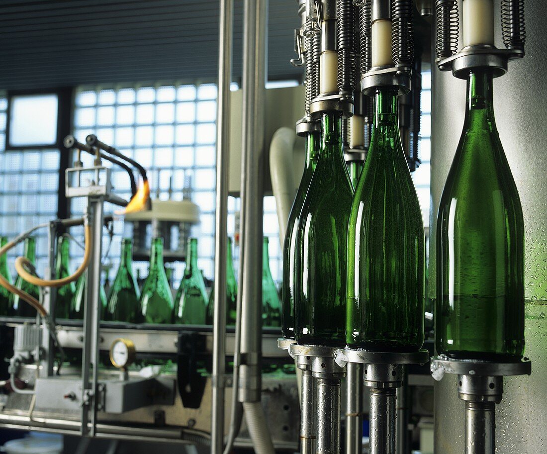Wine bottles in a bottling plant