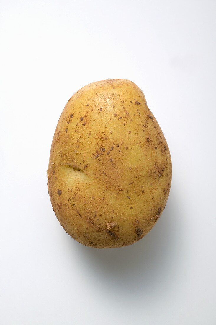 Aula, a floury potato