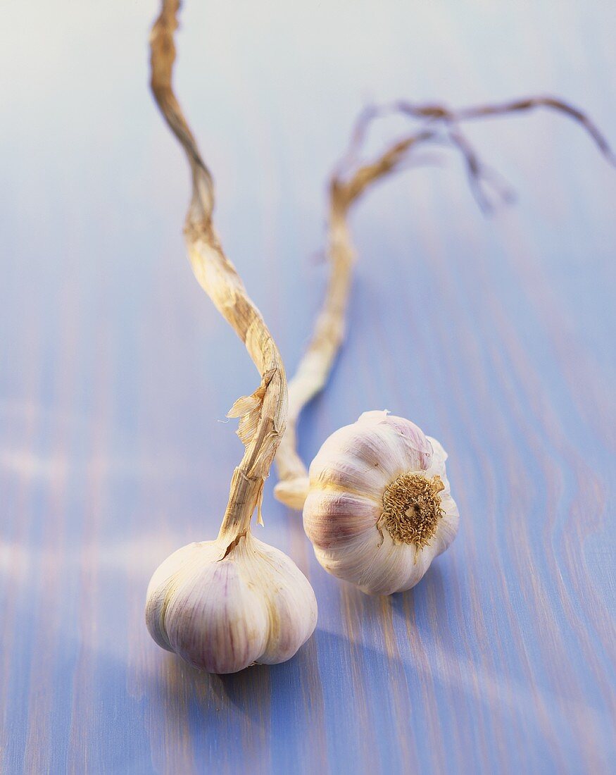 Two garlic bulbs