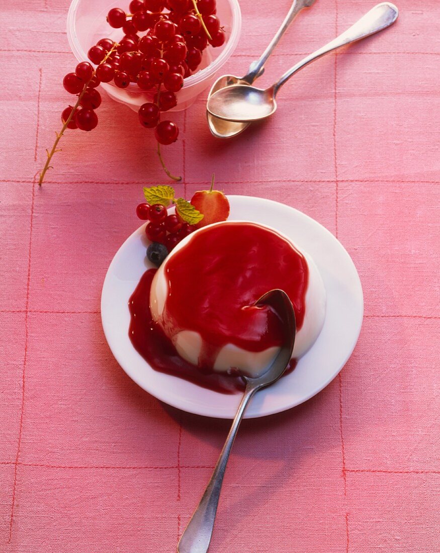 Panna Cotta mit Waldbeerensauce und Johannisbeeren