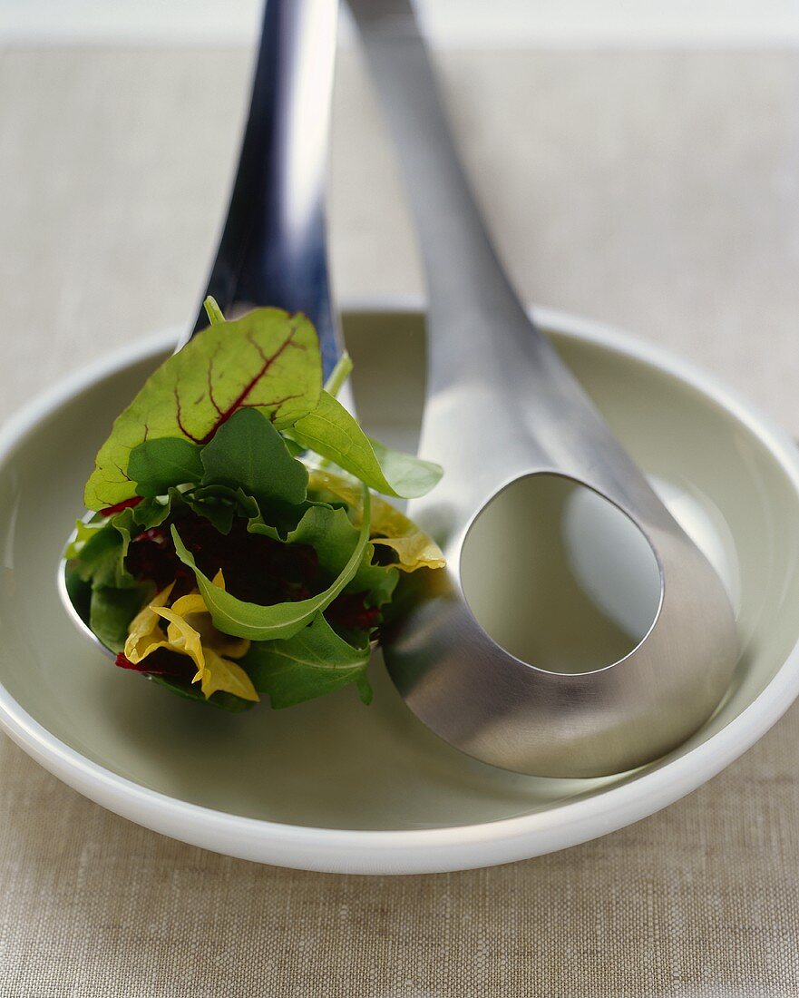 Salad servers with mixed salad leaves