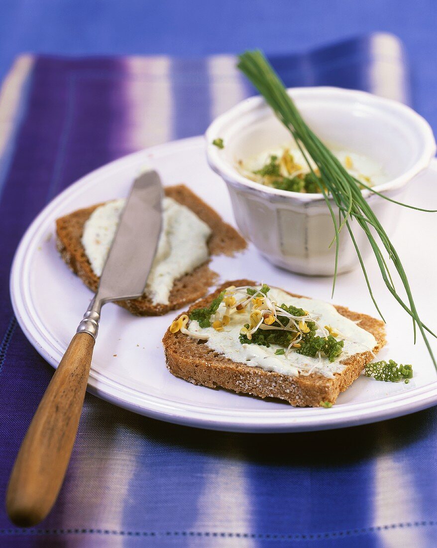 Vollkornbrot mit Sprossen-Tofu-Aufstrich