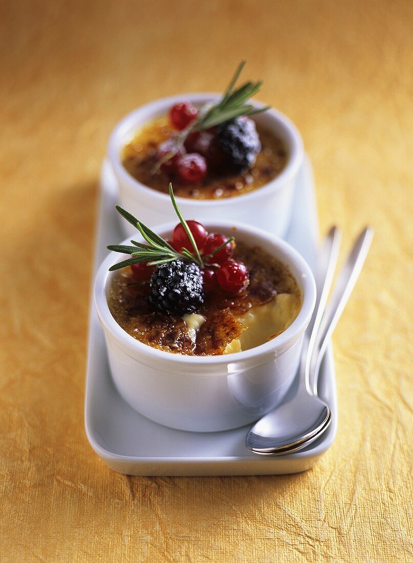 Creme brulee aus weisser Schokolade