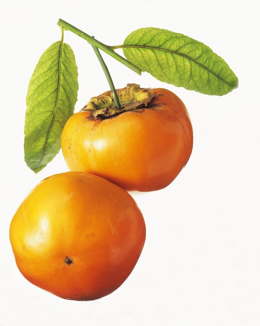 Persimmons with leaves