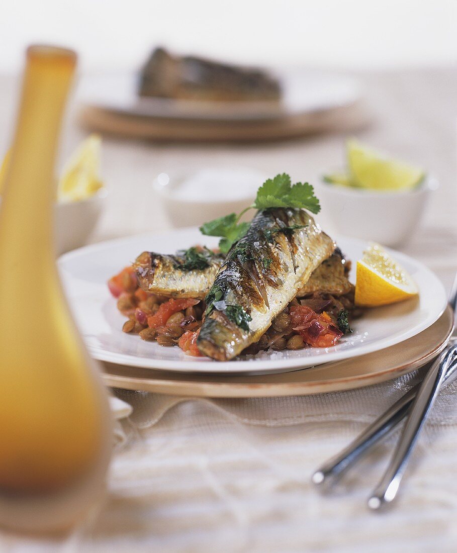 Grilled sardines on lentils