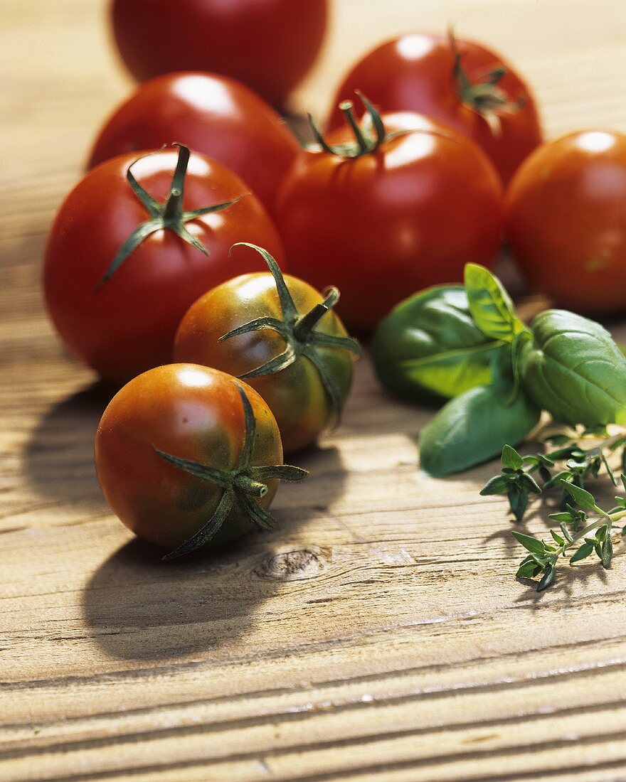 Fresh tomatoes and herbs