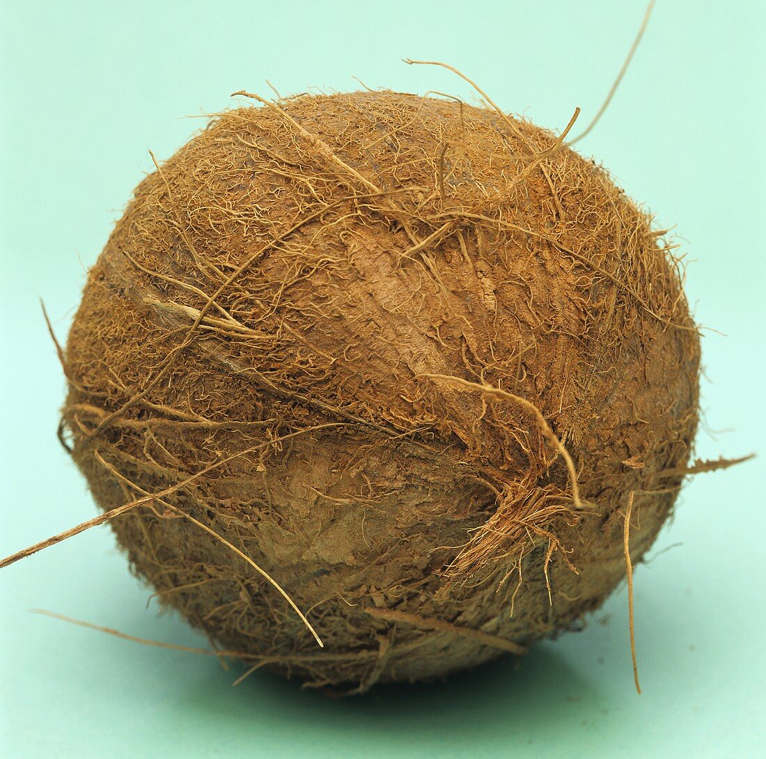 A coconut