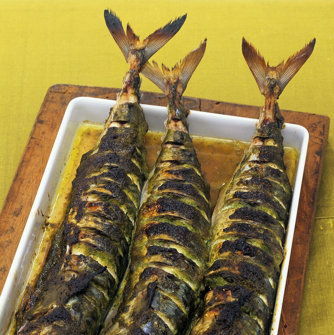 Grilled mackerel with coriander