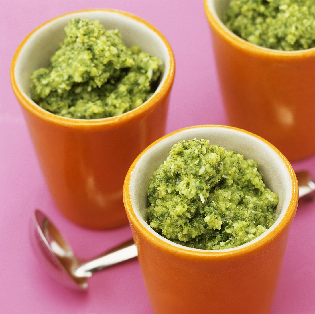 Coriander and mint chutney (India)