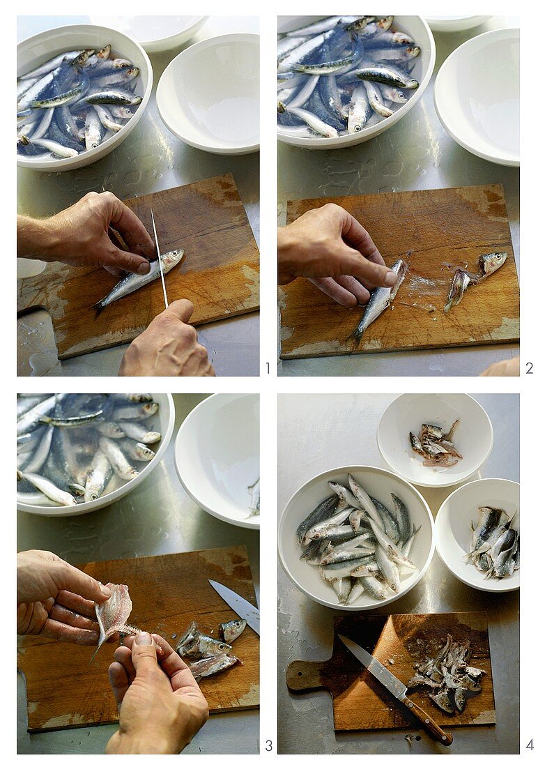 Preparing sardines