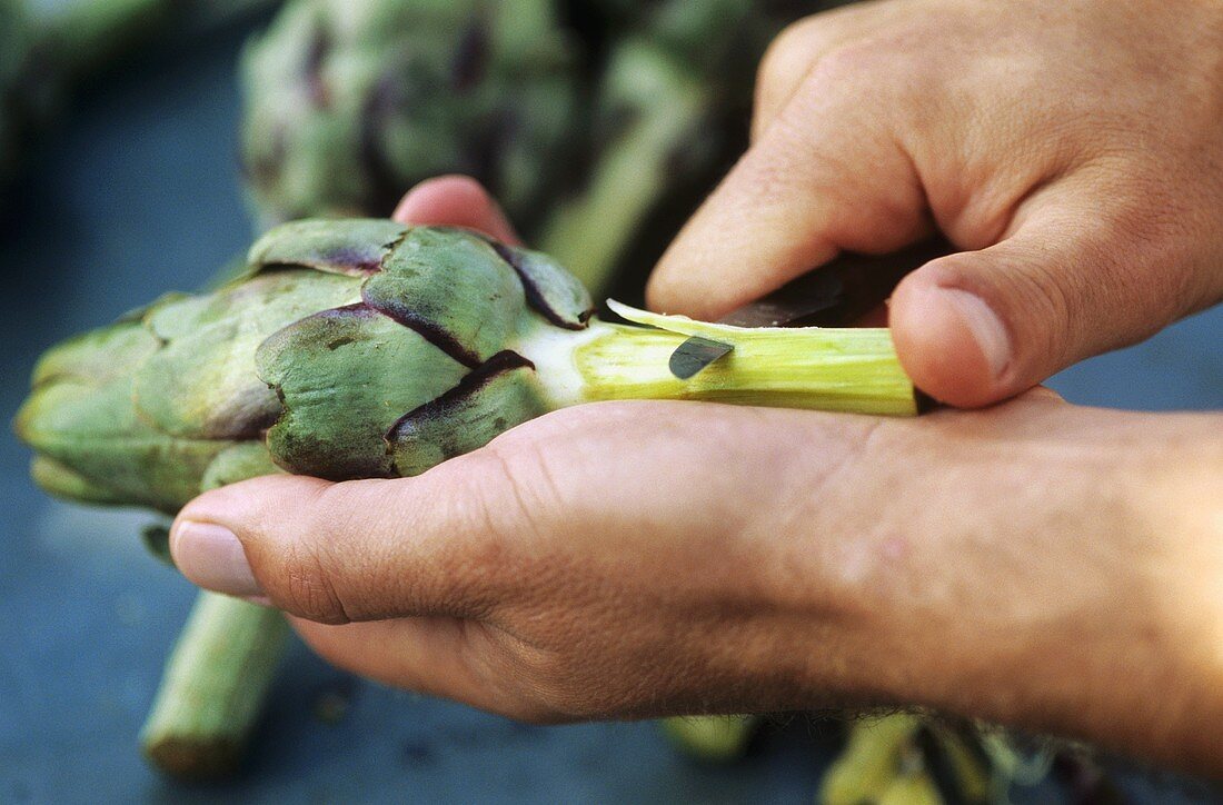 Peeling an artichoke stalk
