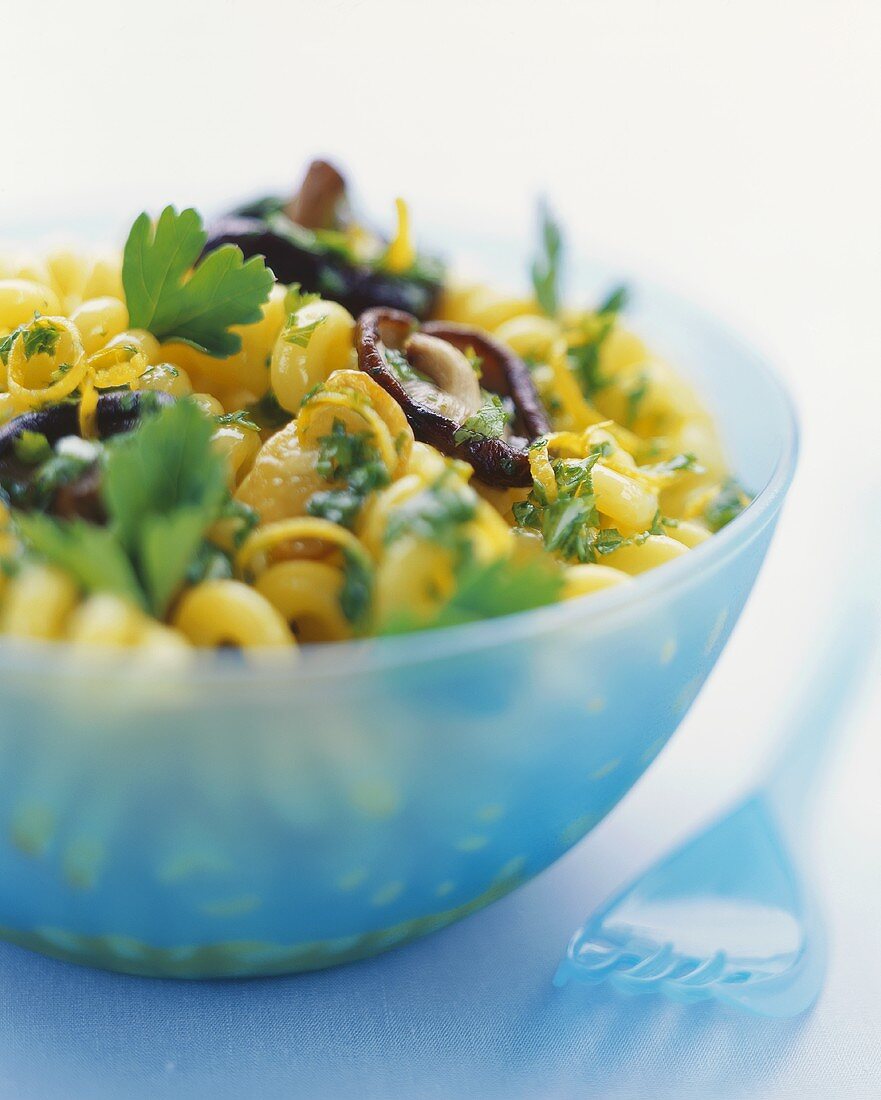 Orecchiette with lemon & parsley pesto & shiitake mushrooms