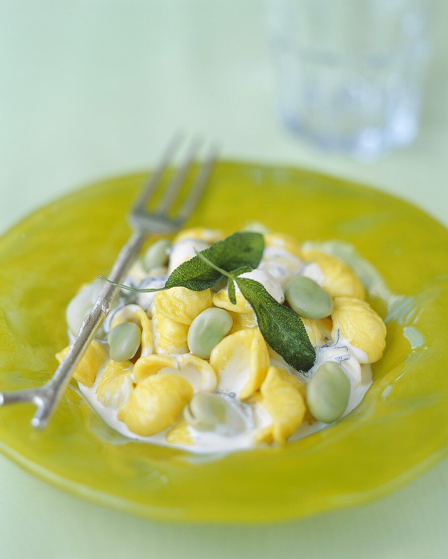 Orecchiette an Fontina-Sauce mit Salbei und Bohnen