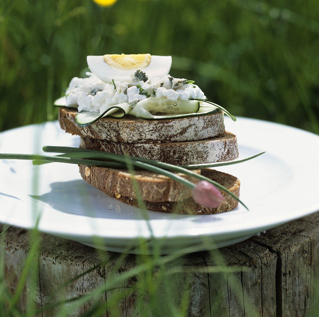 Brot mit Kräuter-Hüttenkäse, Gurke und Ei