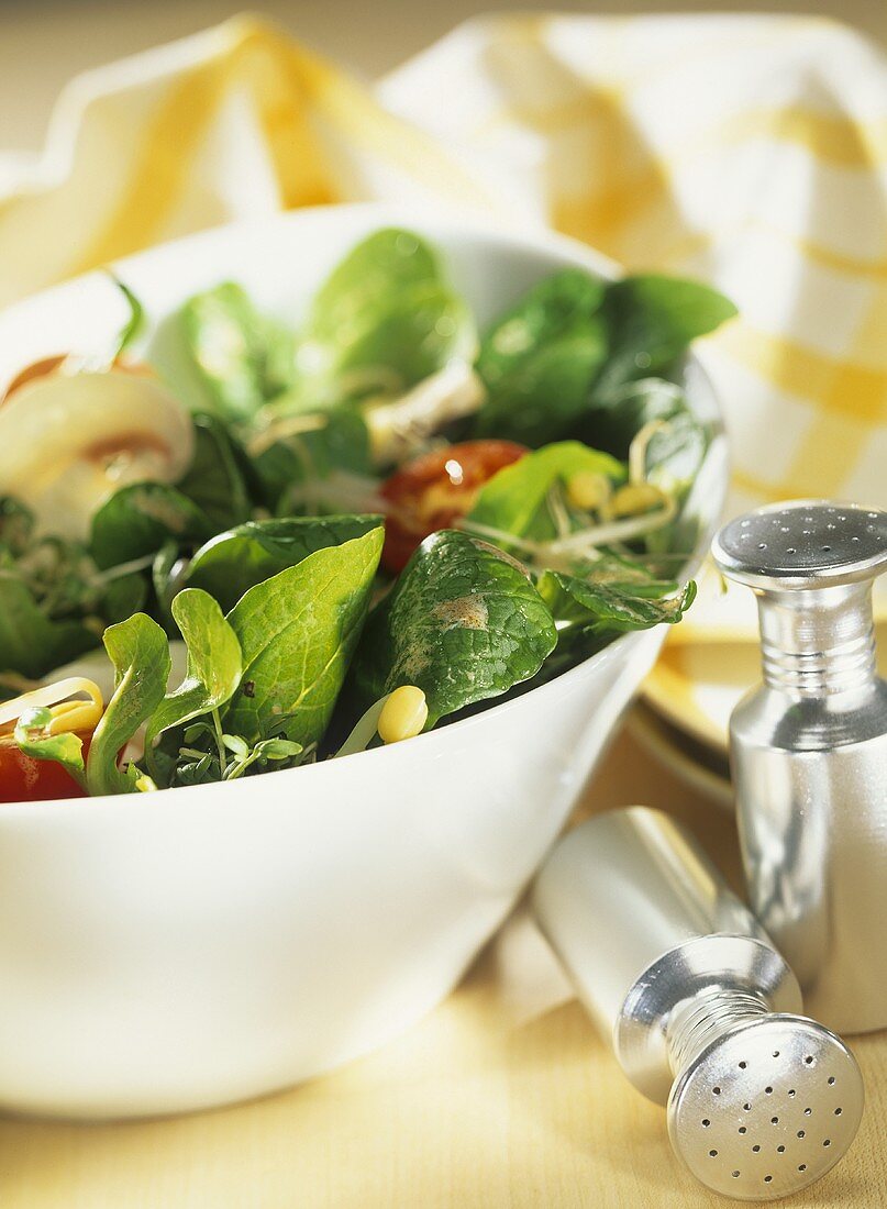 Sprossensalat mit Kürbiscreme