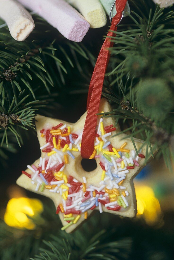 Sternplätzchen mit bunten Zuckerstreuseln als Baumanhänger