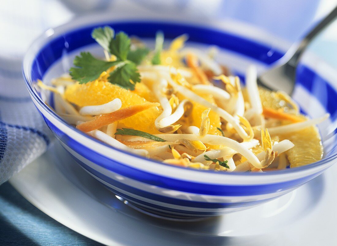 Sprout, orange and carrot salad