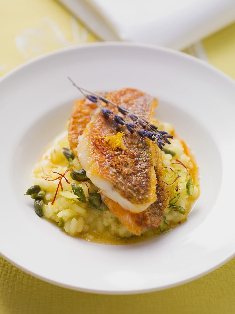 Pistachio risotto with fried red mullet
