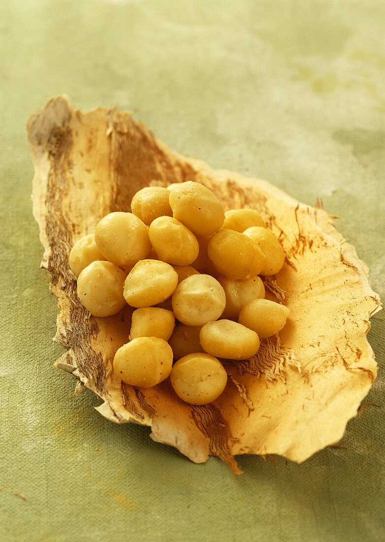 Macadamia nuts