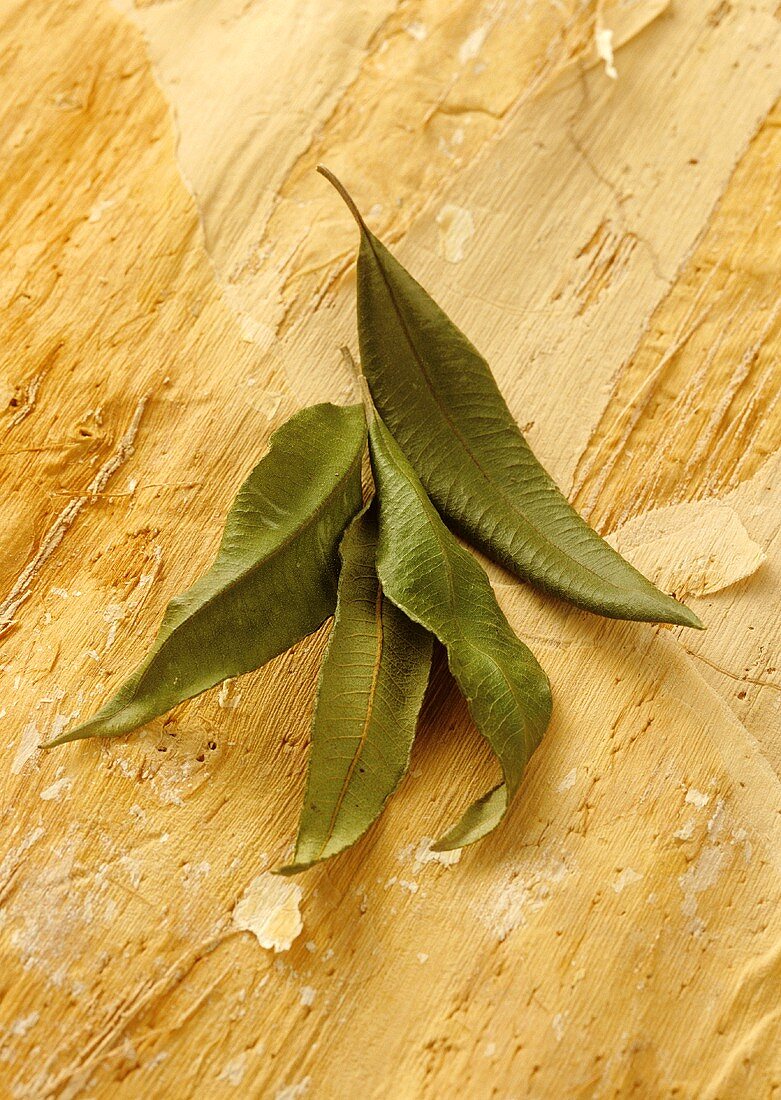 Lemon myrtle (Backhousia citriodora, Australia)