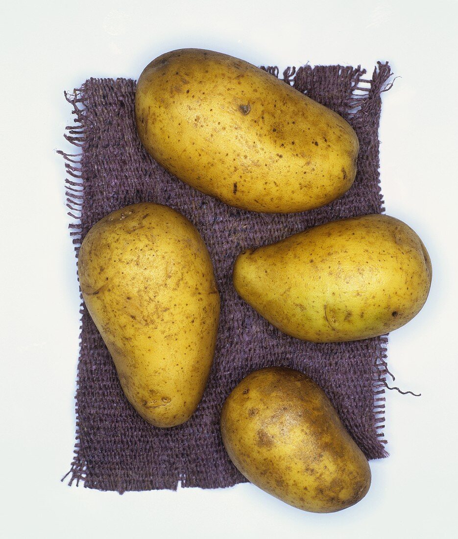 Kartoffeln der Sorte: Leyla