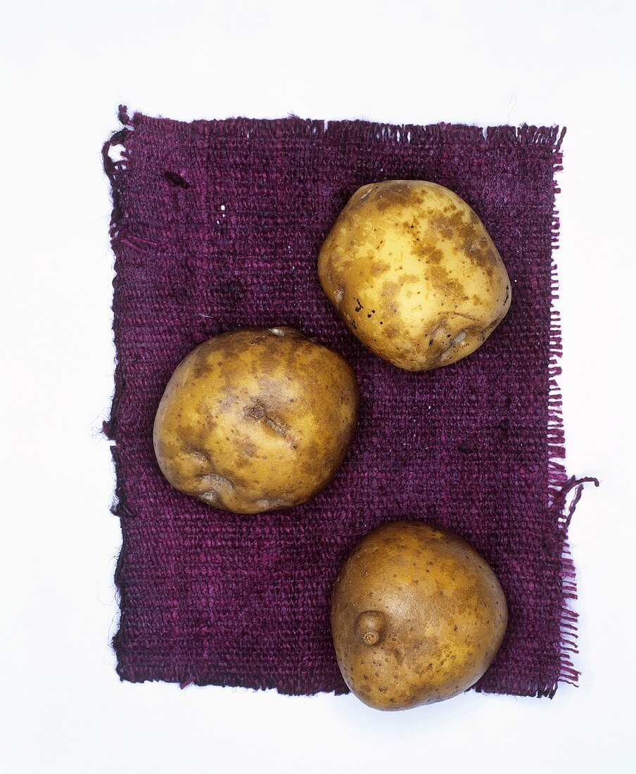 Potatoes, variety: La Bonnotte