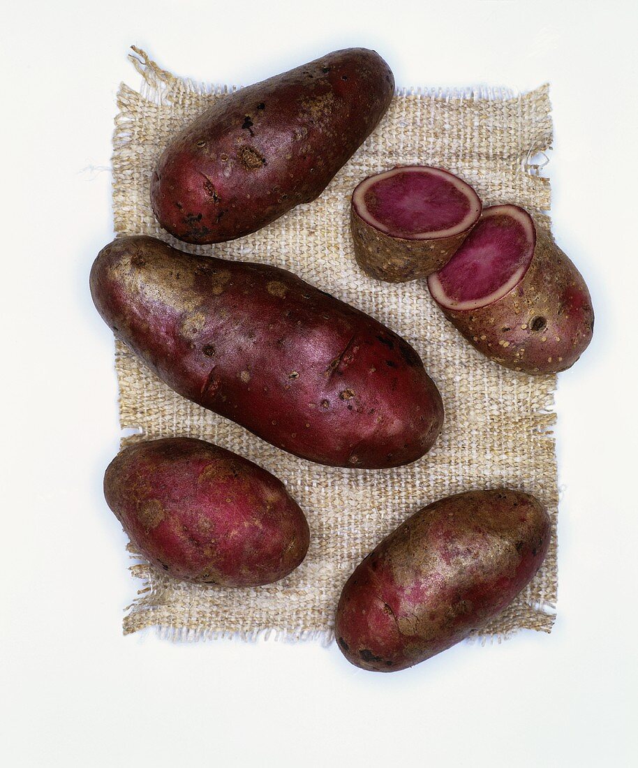 Kartoffeln der Sorte: Highland Burgundy Red