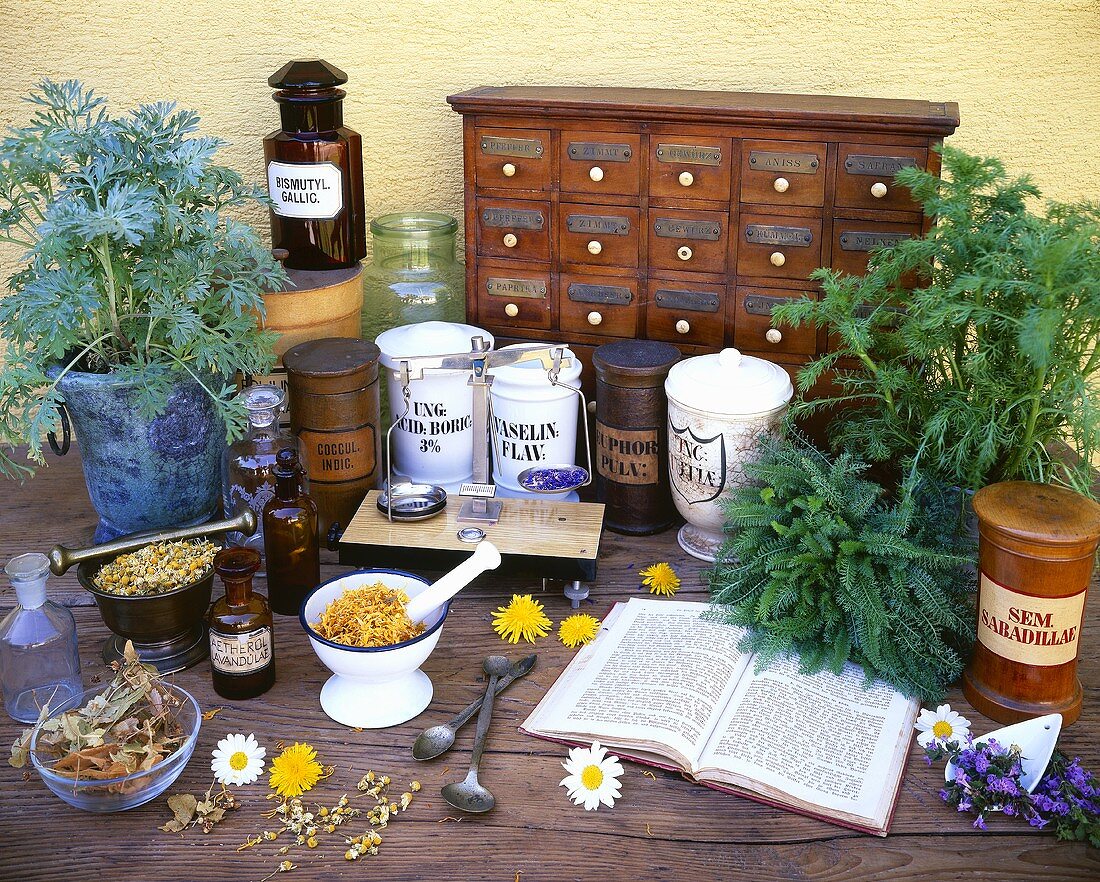 Herbs for the medicine cabinet