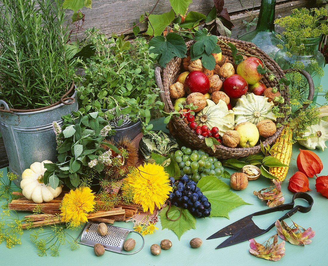Autumnal display of herbs, grapes, apples and nuts