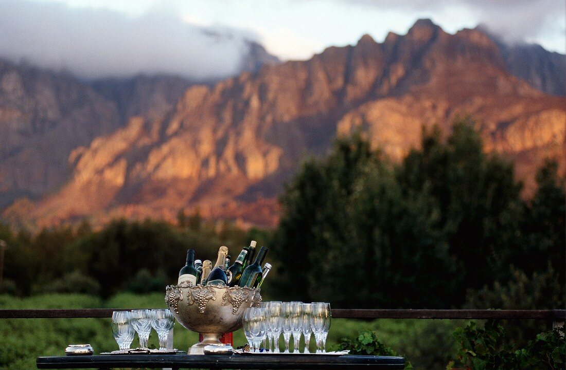 Drinks and glasses at sunset at the Paarl vineyard, South Africa