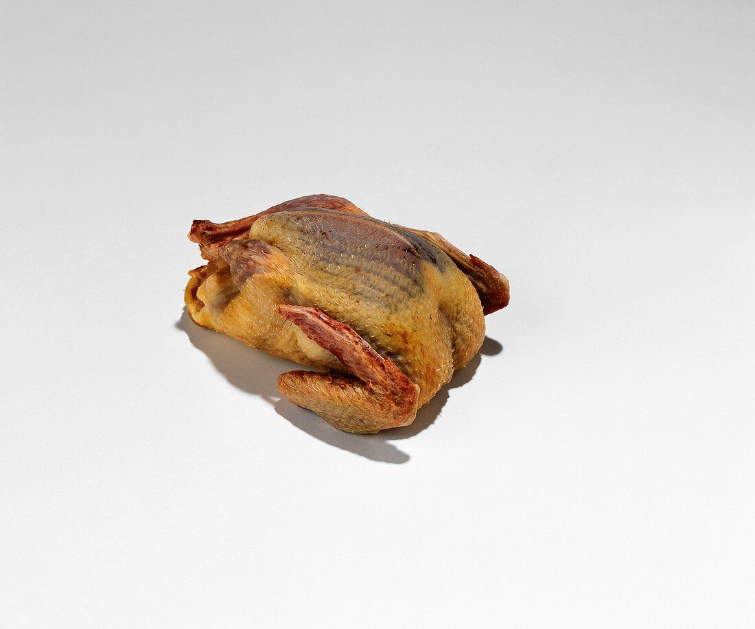 A pheasant, plucked