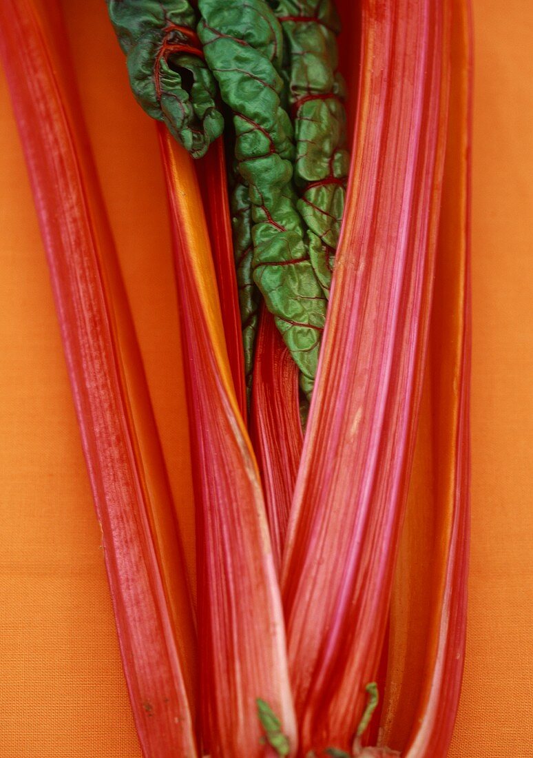 Red chard