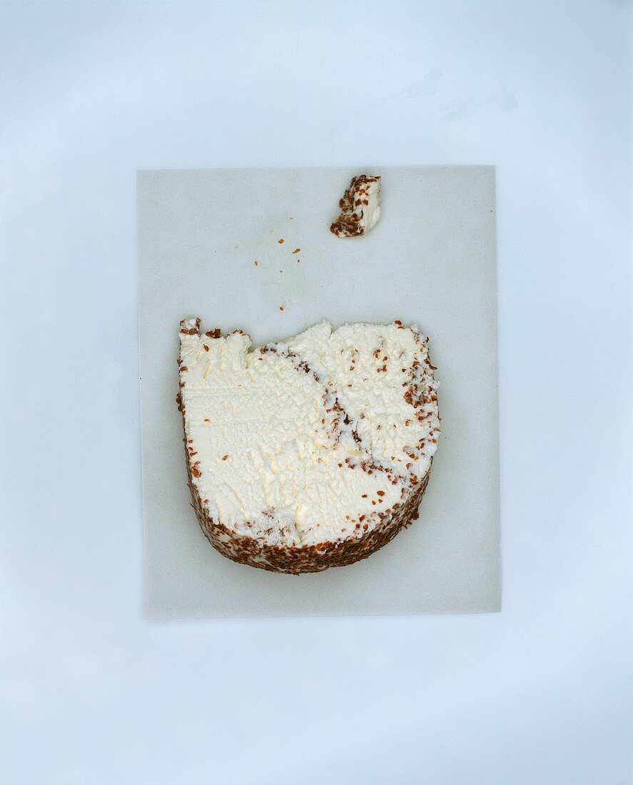Delice de Pommard (French cheese speciality with mustard seeds)