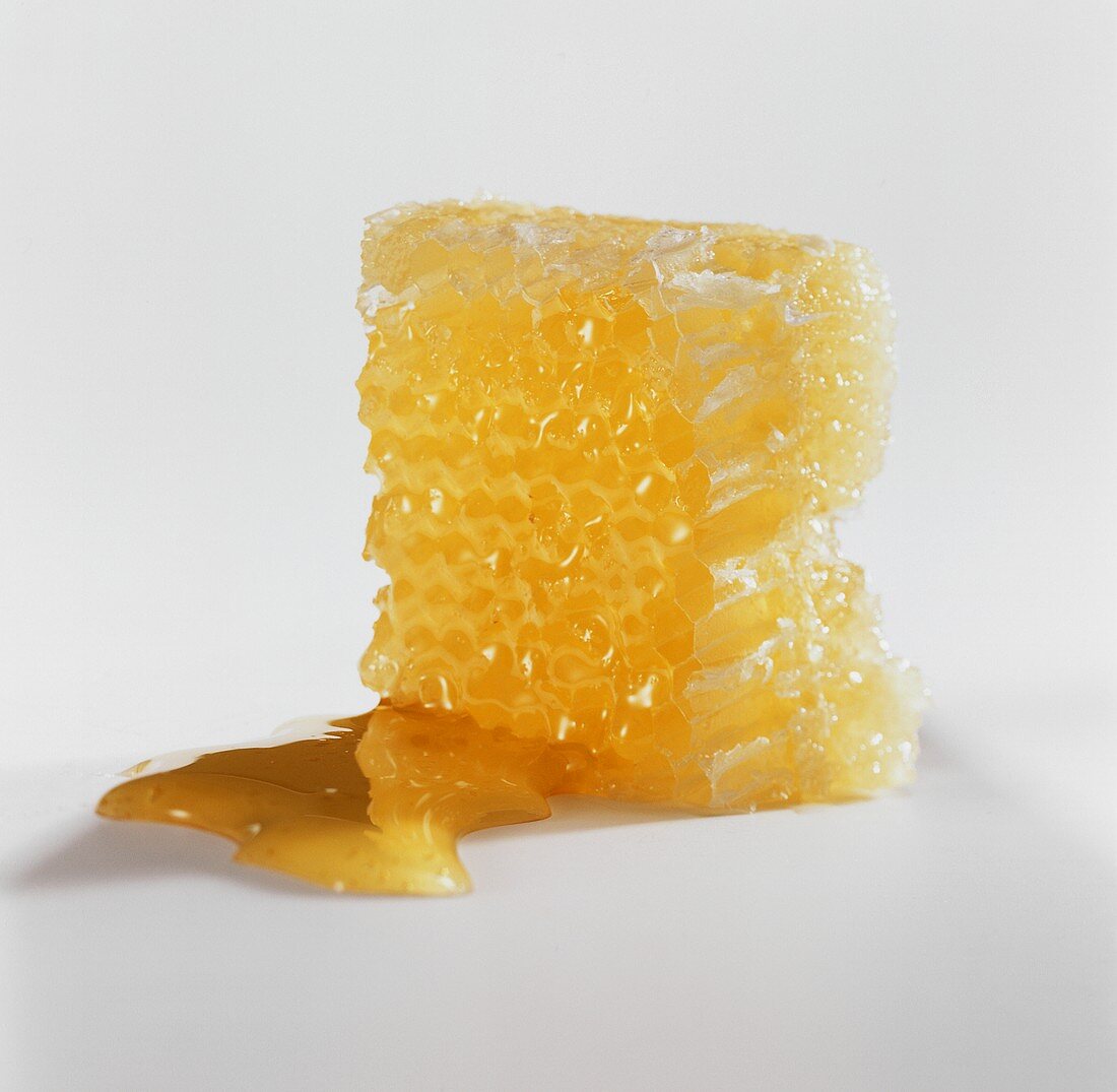 A honeycomb against a white background