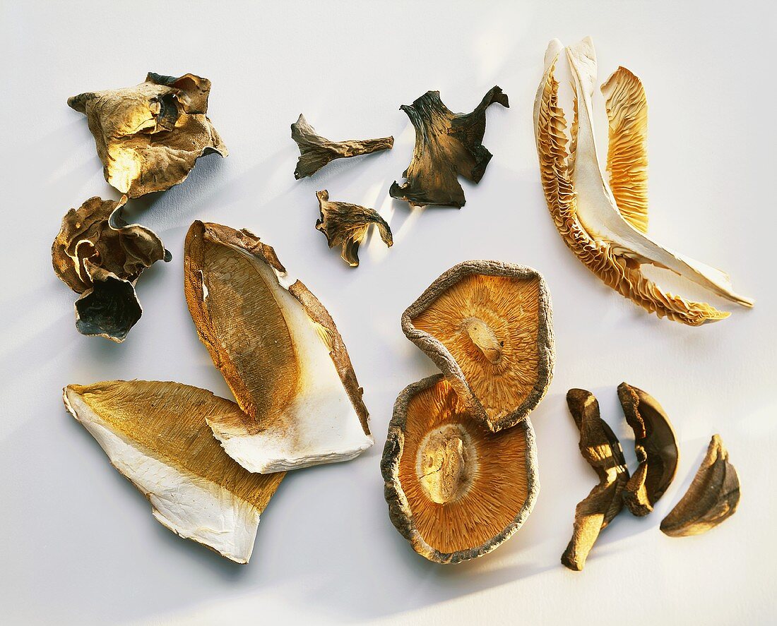 Various dried mushrooms