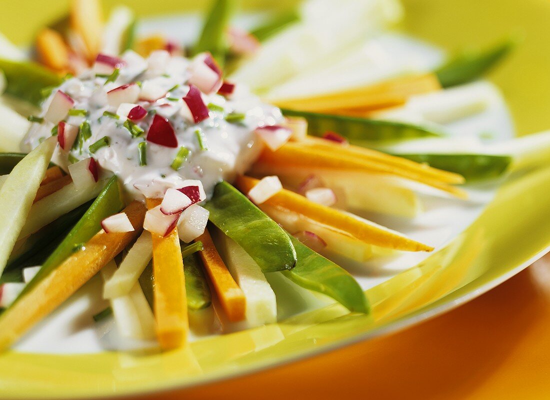 Raw spring vegetables with radish quark