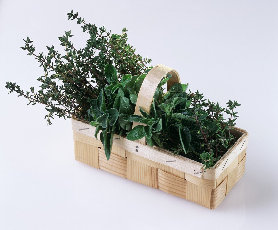 A basket of thyme and marjoram