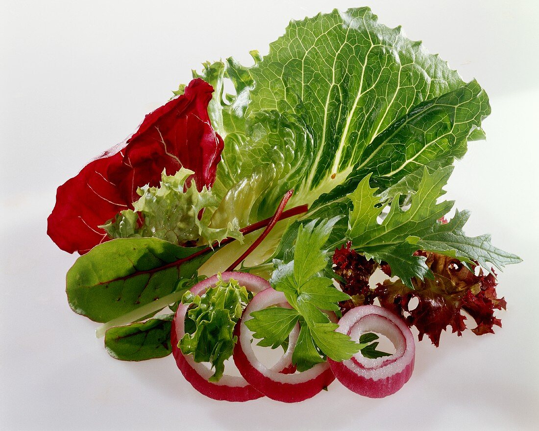 Verschiedene Salatblätter und Zwiebelringe