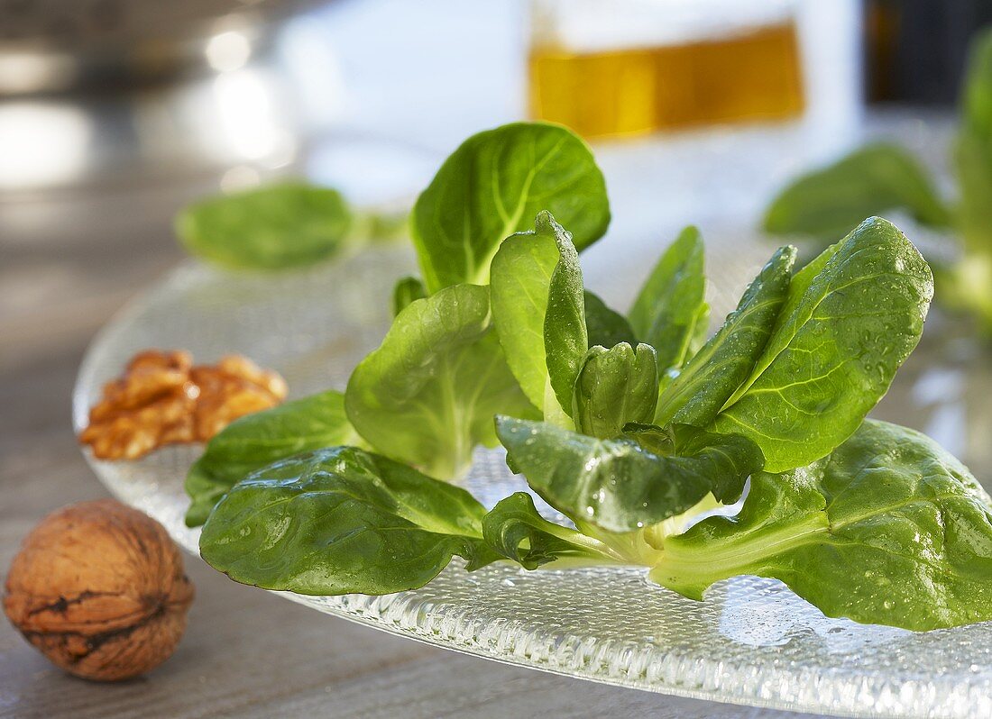 Lamb's lettuce with walnuts