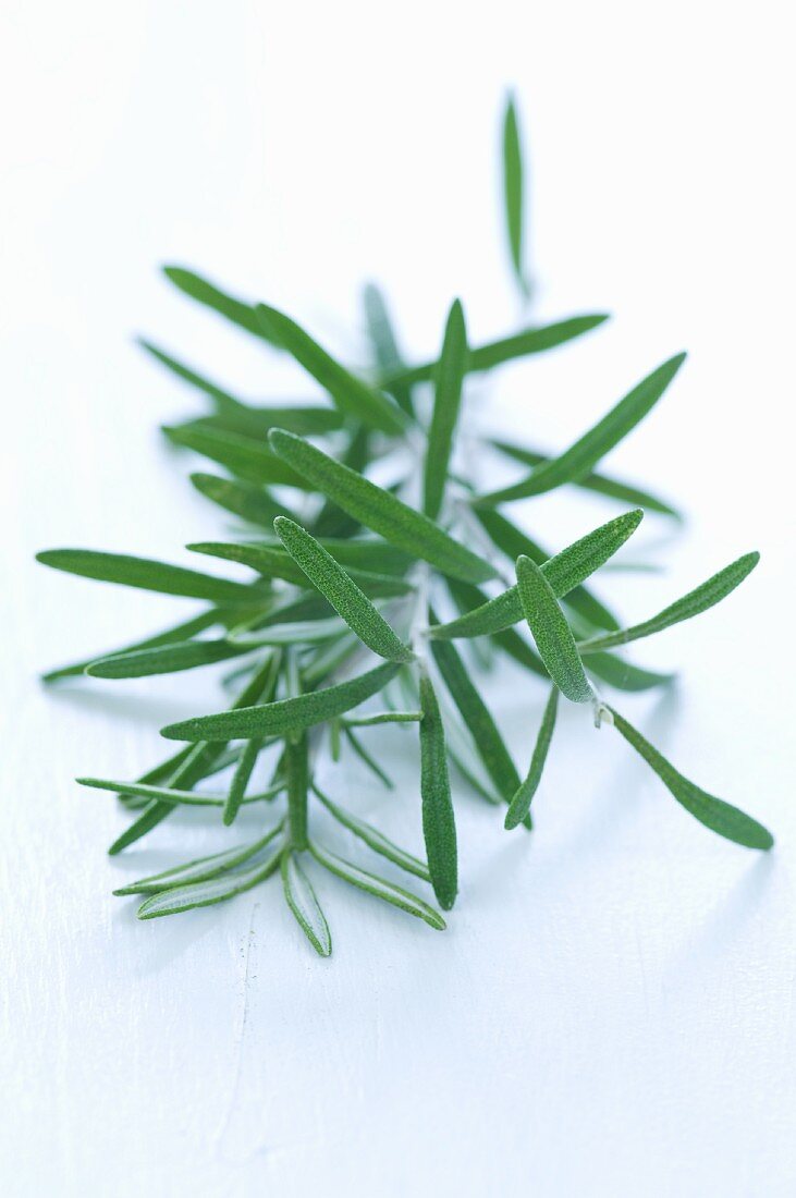 Fresh rosemary