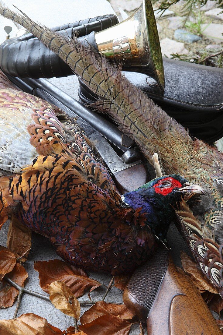 A pheasant with a weapon and a hunting bugle