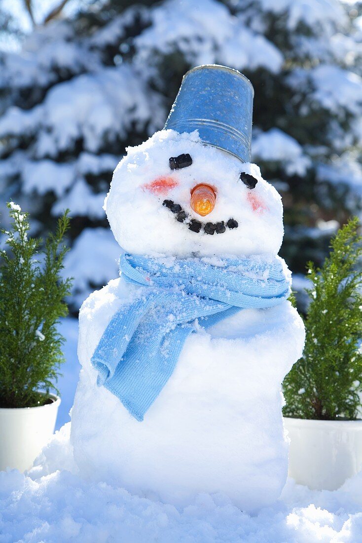 A snowman in a garden