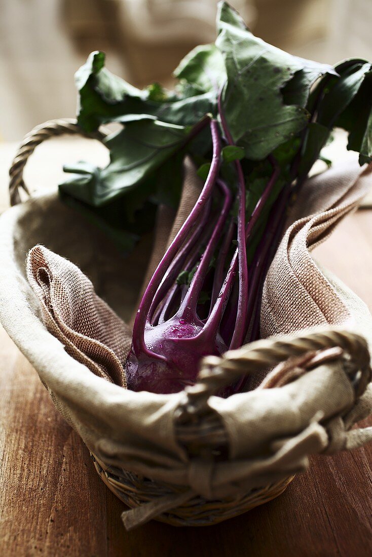 Roter Kohlrabi